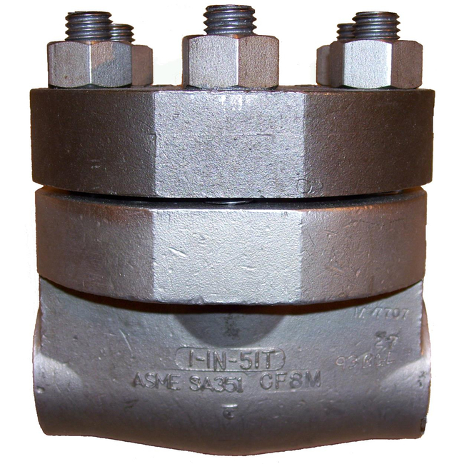 Flowserve Anchor/Darling 1878 Swing Check Valve